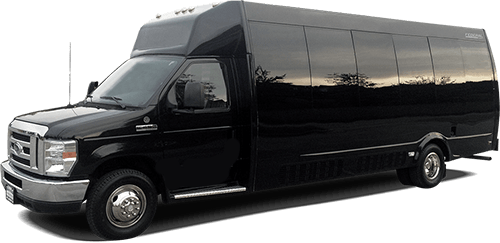 Mini Bus